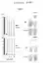 Fig. 03 - ASSAY FOR SCREENING COMPOUNDS THAT SELECTIVELY DECREASE THE NUMBER OF CANCER STEM CELLS