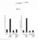 Fig. 04 - ASSAY FOR SCREENING COMPOUNDS THAT SELECTIVELY DECREASE THE NUMBER OF CANCER STEM CELLS