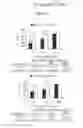 Fig. 12 - ASSAY FOR SCREENING COMPOUNDS THAT SELECTIVELY DECREASE THE NUMBER OF CANCER STEM CELLS