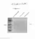 Fig. 19 - ASSAY FOR SCREENING COMPOUNDS THAT SELECTIVELY DECREASE THE NUMBER OF CANCER STEM CELLS