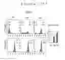 Fig. 26 - ASSAY FOR SCREENING COMPOUNDS THAT SELECTIVELY DECREASE THE NUMBER OF CANCER STEM CELLS