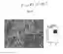 Fig. 32 - ASSAY FOR SCREENING COMPOUNDS THAT SELECTIVELY DECREASE THE NUMBER OF CANCER STEM CELLS