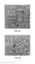 Fig. 07 - Antibody conjugates
