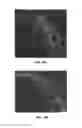 Fig. 09 - Antibody conjugates