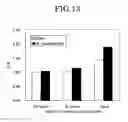 Fig. 14 - METHOD AND KIT FOR MEASURING MODIFIED NUCLEOBASE USING HETEROGENEOUS NUCLEIC ACID PROBE