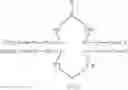 Fig. 16 - METHOD AND KIT FOR MEASURING MODIFIED NUCLEOBASE USING HETEROGENEOUS NUCLEIC ACID PROBE