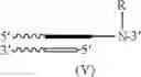 Fig. 20 - METHOD AND KIT FOR MEASURING MODIFIED NUCLEOBASE USING HETEROGENEOUS NUCLEIC ACID PROBE
