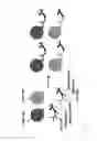 Fig. 02 - Cell detection with conjugates having an enzymatically releasable detection moiety