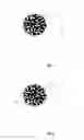 Fig. 02 - Diagnostic assay using particles with magnetic properties