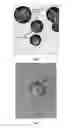 Fig. 03 - Diagnostic assay using particles with magnetic properties