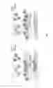 Fig. 05 - Diagnostic assay using particles with magnetic properties