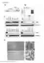 Fig. 02 - Compositions, Kits, and Methods for the Modulation of Immune Responses Using Galectin-1