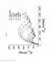 Fig. 12 - DNA aptamer specifically binding to EN2 (engrailed-2) and use thereof