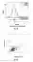 Fig. 09 - COMPOSITIONS AND METHODS FOR IDENTIFYING A RISK OF CANCER IN A SUBJECT