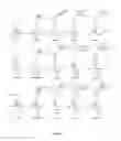 Fig. 04 - Method for detecting and determining levels of monolignol ester conjugates incorporated into lignin and compounds relating thereto