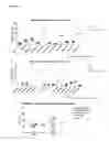 Fig. 10 - Method for the absolute quantification of naturally processed HLA-restricted cancer peptides