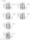 Fig. 15 - Method for the absolute quantification of naturally processed HLA-restricted cancer peptides