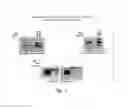 Fig. 06 - Compositions and methods for increasing bone mineralization