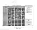 Fig. 15 - Apparatus, Method, and System for the Automated Imaging and Evaluation of Embryos, Oocytes and Stem Cells