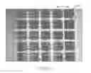 Fig. 23 - Apparatus, Method, and System for the Automated Imaging and Evaluation of Embryos, Oocytes and Stem Cells