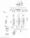 Fig. 17 - Arc fault detection system and method and circuit interrupter employing same