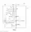 Fig. 12 - Display apparatus including dummy display element for TFT testing