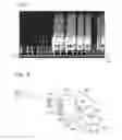 Fig. 05 - AXLE DETECTION APPARATUS