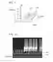 Fig. 06 - AXLE DETECTION APPARATUS