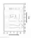 Fig. 06 - Ultrasonic adaptive beamforming method and its application for transcranial imaging