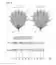Fig. 05 - Radar system including first radar device and second radar device