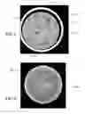 Fig. 04 - Methods and systems for scan analysis of a core sample