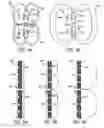 Fig. 05 - Focused symmetric pipe inspection tools