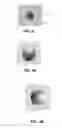 Fig. 05 - Dynamic appearance-changing optical devices (DACOD) printed in a shaped magnetic field including printable fresnel structures