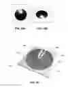 Fig. 18 - Dynamic appearance-changing optical devices (DACOD) printed in a shaped magnetic field including printable fresnel structures