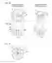 Fig. 04 - Multicore fiber with different-mode interaction section
