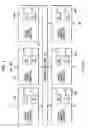 Fig. 02 - 3D VLSI interconnection network with microfluidic cooling, photonics and parallel processing architecture