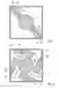 Fig. 12 - Optical structure with ridges arranged at the same and method for producing the same
