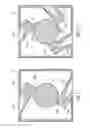 Fig. 66 - Optical structure with ridges arranged at the same and method for producing the same
