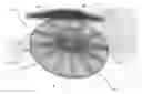 Fig. 01 - Manufacturing method for lightweight large-size telescope mirror blanks and mirror blanks fabricated according to same