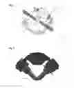 Fig. 02 - DUAL OBLIQUE VIEW SINGLE PLANE ILLUMINATION MICROSCOPE