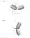 Fig. 04 - DUAL OBLIQUE VIEW SINGLE PLANE ILLUMINATION MICROSCOPE