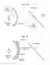 Fig. 02 - Visors