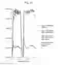 Fig. 11 - Visors