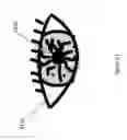 Fig. 76 - SAFETY FOR A VEHICLE OPERATOR WITH AN HMD
