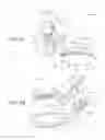 Fig. 06 - Virtual image display device