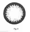 Fig. 06 - Colored contact lenses and method of making the same