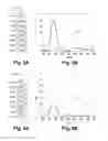 Fig. 04 - Ophthalmic anti-somnolence lens, device and method