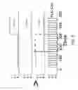 Fig. 06 - Field sequential color ferroelectric liquid crystal display cell