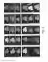 Fig. 07 - Field sequential color ferroelectric liquid crystal display cell