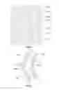 Fig. 02 - ARRAY SUBSTRATE, DISPLAY PANEL AND DISPLAY DEVICE